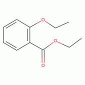 Ethyl 2-Ethoxybenzoate