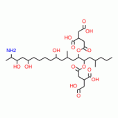 伏马菌素B1