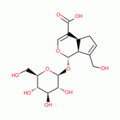 GENIPOSIDICACID(SH)