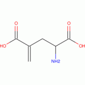 GAMMA-METHYLENE-DL-GLUTAMIC ACID