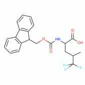 Fmoc-D,L-5,5,5-trifluoroleucine