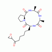 HC TOXIN FROM HELMINTHOSPORIUM CARBONUM