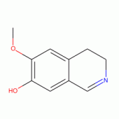 7-羟基-6-甲氧基-3，4-二氢异喹啉
