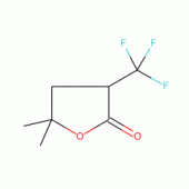 GAMMA-METHYL-ALPHA-(TRIFLUOROMETHYL)-GAM