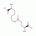GAMMA-GLU-EPSILON-LYS