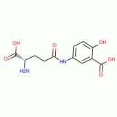 L-GLUTAMIC ACID GAMMA-(3-CARBOXY-*4-HYDR OXYANILIDE)