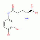 GDHB(RG)