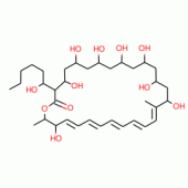 FILIPIN III FROM STREPTOMYCES*FILIPINENS IS