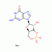 GUANOSINE 3':5'-CYCLIC MONOPHOSPHATE*SOD IUM