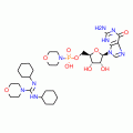 GUANOSINE 5'-MONOPHOSPHOMORPHOLIDATE