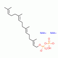 GERANYLGERANYL PYROPHOSPHATE AMMONIUM*20 0 UG/VIAL