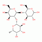 2'-FUCOSYL-N-ACETYLLACTOSAMINE