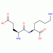 GLU-LYS