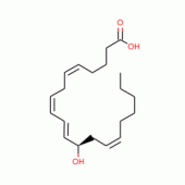 12(R)-HYDROXY-(5Z,8Z,10E,14Z)-*EICOSATET RAENOIC ACI