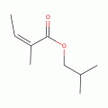 ISOBUTYL ANGELATE, 97+%