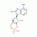 8-HYDROXYADENOSINE 3':5'-CYCLIC*MONOPHOS PHORIC ACID