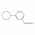 4-(4-Isocyanatopyrid-2-yl)morpholine, 95%