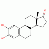 2-Hydroxy Estrone