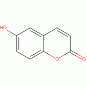 6-HYDROXYCOUMARIN