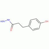 3-(4-Hydroxyphenyl)propanohydrazide , 97%