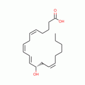 12(S)-HYDROXY-(5Z,8Z,10E,14Z)-*EICOSATET RAENOIC ACI