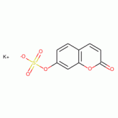 7-HYDROXYCOUMARIN SULFATE