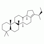 (22R)-30-Homohop-17(21)ene solution