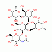 ISO-A-PENTASACCHARIDE FROM HUMAN URINE