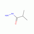 Isobutyric acid hydrazide