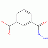 3-(Hydrazinecarbonyl)benzeneboronic acid 97%