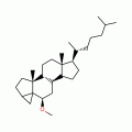 I-CHOLESTERYL METHYL ETHER