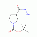 3-Hydrazinocarbonyl-pyrrolidine-1-carboxylic acid tert-butyl ester