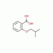2-ISOBUTOXYPHENYLBORONIC ACID