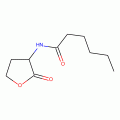 N-HEXANOYL-DL-HOMOSERINE LACTONE
