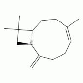 ISOCARYOPHYLLENE,(-)-(SG)