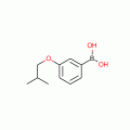 3-ISOBUTOXYPHENYLBORONIC ACID