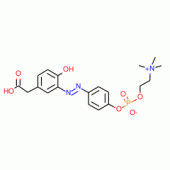 4-Hydroxy-3-(p-diazophenylphosphorylcholine) Phenylacetic Acid