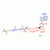 ISOBUTYRYL COENZYME A (C4:0) LITHIUM