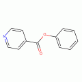Isonicotinic Acid Phenyl Ester