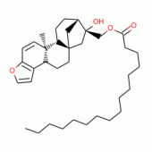 KAHWEOLPALMITATE(RG)