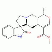 ISOMITRAPHYLLINE(P)