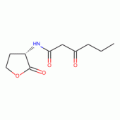 N-(Ketocaproyl)-L-homoserine Lactone