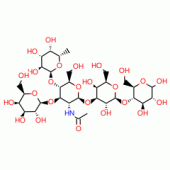 LACTO-N-FUCOPENTAOSE II