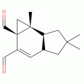 ISOVELLERAL