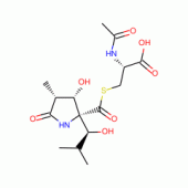 蛋白酶体抑制剂