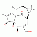 INGENOL