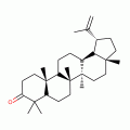 羽扇烯酮