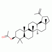 LUPEOLACETATE(RG)