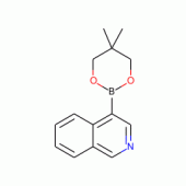 异喹啉-4-硼酸-2,2-二甲基丙二醇-1,3环酯