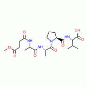 N-METHOXYSUCCINYL-ALA-ALA-PRO-VAL